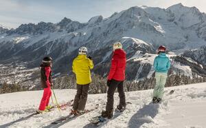Groupe de skieurs à l'arrêt observant une chaîne de montagnes enneigées